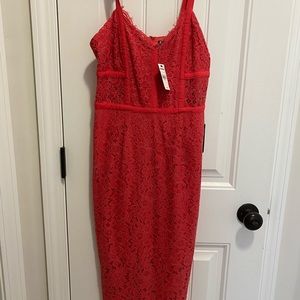 Express zip up back dress